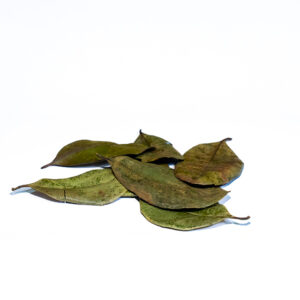 Dried allspice leaves