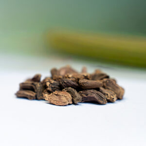 Large aromatic cardamom pods