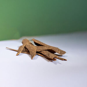 Ground cinnamon powder