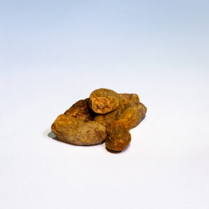 Dried dates