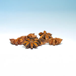 Star anise pods